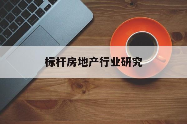 中卫市标杆房地产行业研究(房地产领域的标杆人物)