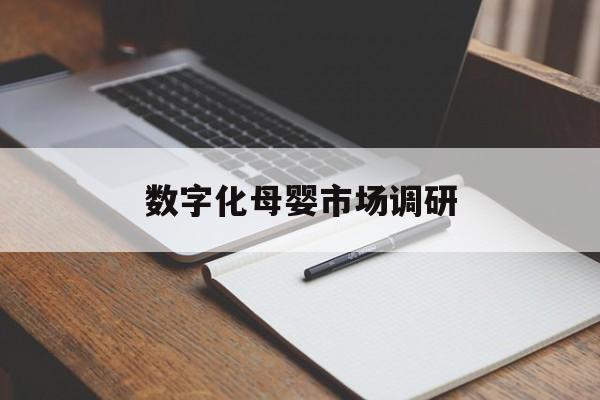 中卫市数字化母婴市场调研(数字化母婴市场调研报告)
